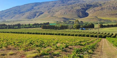 7175e0cd2e1857e56cc5ca4de2f5d2ed