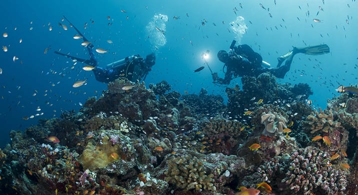 1_bv-product-web-gallery_0001s_0002s_0006_DSC09121