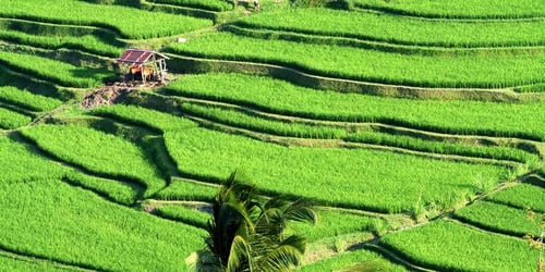 c5729d0fe8ee67b5c9b378c52906db09