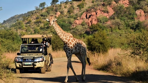 pilansberg__1280x720_for_navi_web