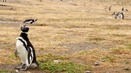 ar08_1_1280x720_for_navi_web