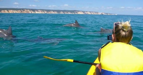 31458-7572354f-e140-4212-87dd-8f8d23c3c345-thumbnail