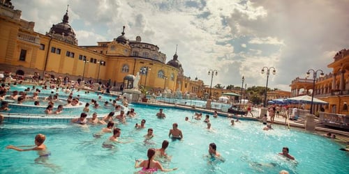 8ace5460a3a19a4debcb98ad04488374