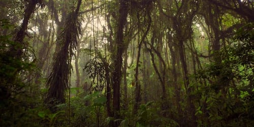 b5bc84d215eacc0af7bbae11e415f311