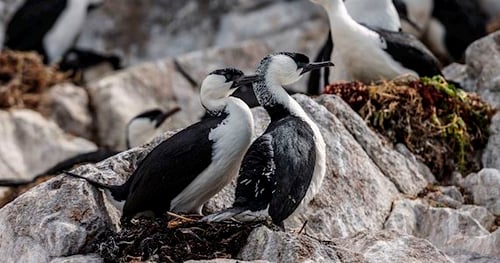 25035-7a8a37ee-221c-4c9b-a5ee-8045e57e883e-thumbnail