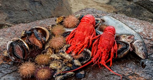 25016-4beb9b11-aaf6-4875-ac7e-f288a32deb16-thumbnail