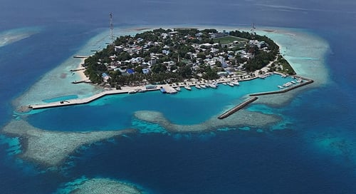 bv-product-web-gallery-14