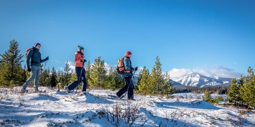 1e81b63cb93fa801634506ac779f3311