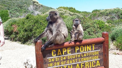 saltycrax_cape_point_1_1280x720_for_navi_web