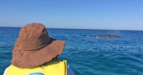 42340-2795af00-5167-470e-ae58-0a7529d59ccf-thumbnail