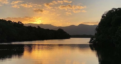 44975-34e810dc-9fe9-4fbf-89f5-8dcc8059c2ff-thumbnail