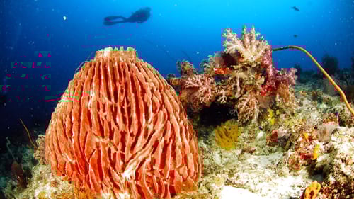 017_1280x720_for_navi_web