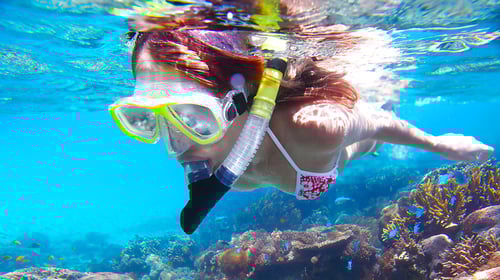 snorkeling_trip_1280x720_for_navi_web