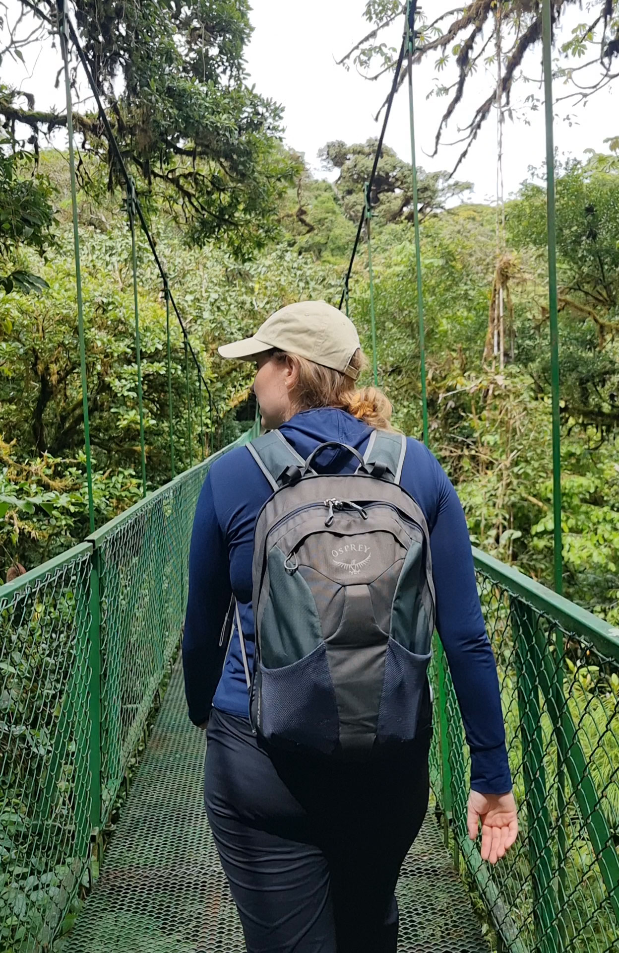 Treetop walk in Taman Negara in Malaysia