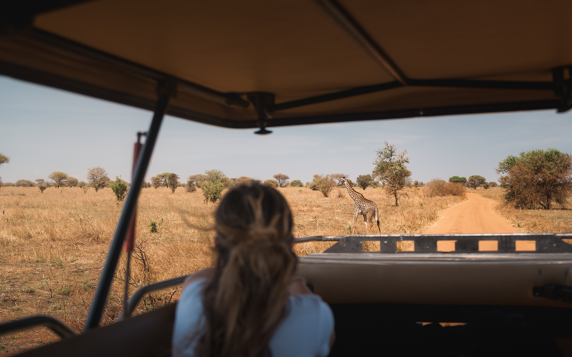 Shutterstock 2600061679 (1)