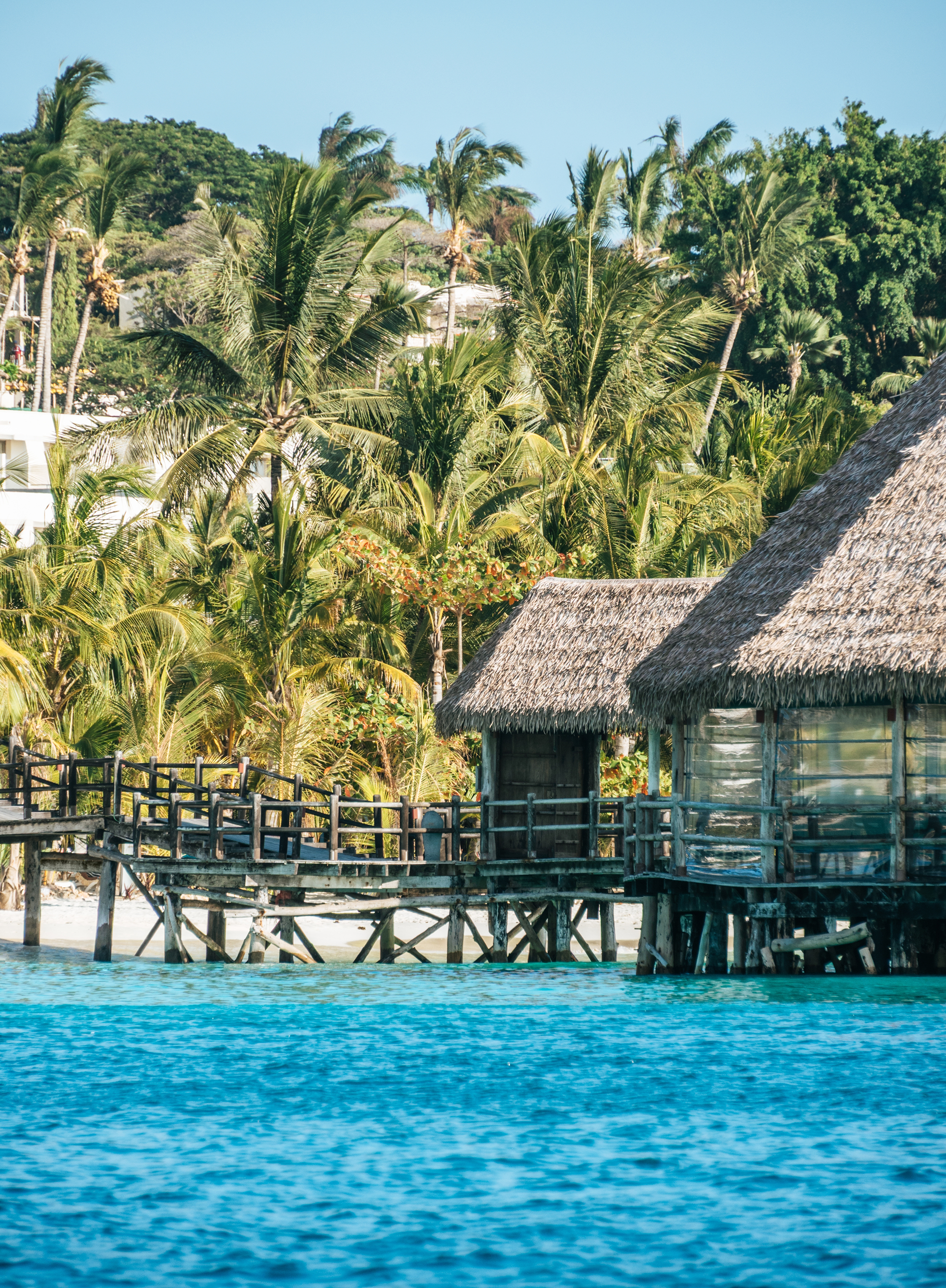 Shutterstock 2600752273